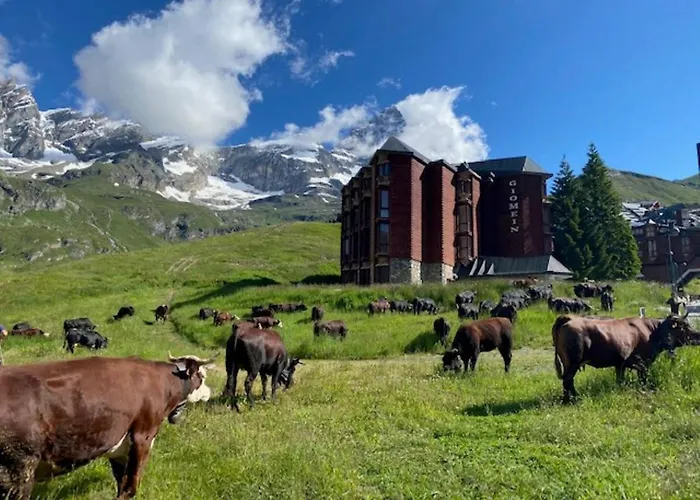 The Nest Ski-in Ski-out With Hammam Breuil-Cervinia